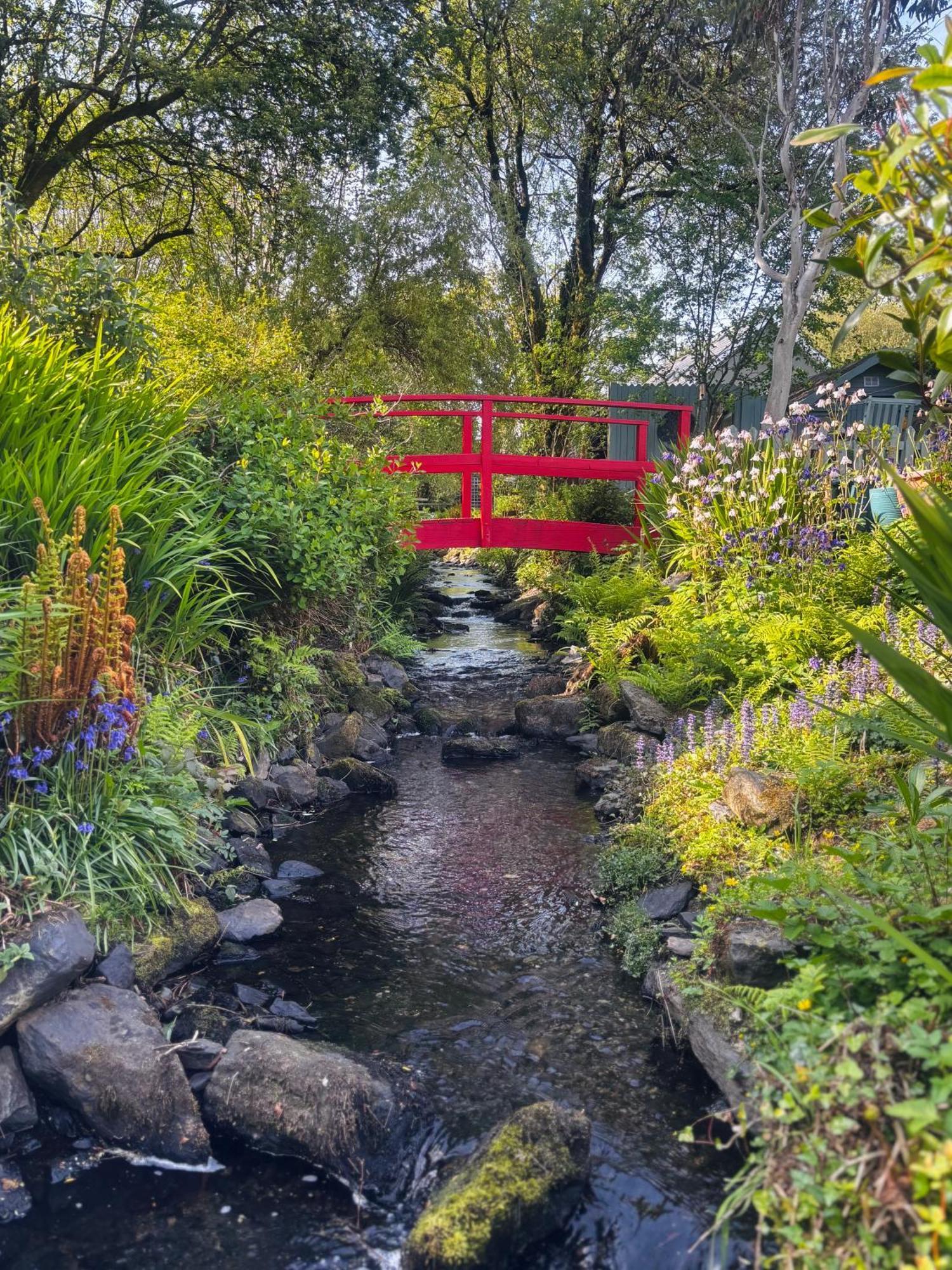 Streamside B And B With Parking Drimoleague Zewnętrze zdjęcie